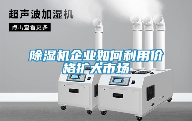 MR.好色破解版企业如何利用价格扩大市场