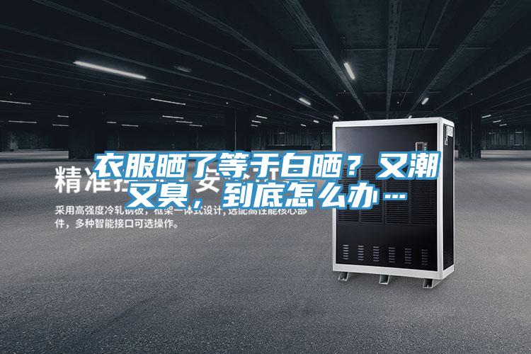 衣服晒了等于白晒？又潮又臭，到底怎么办…