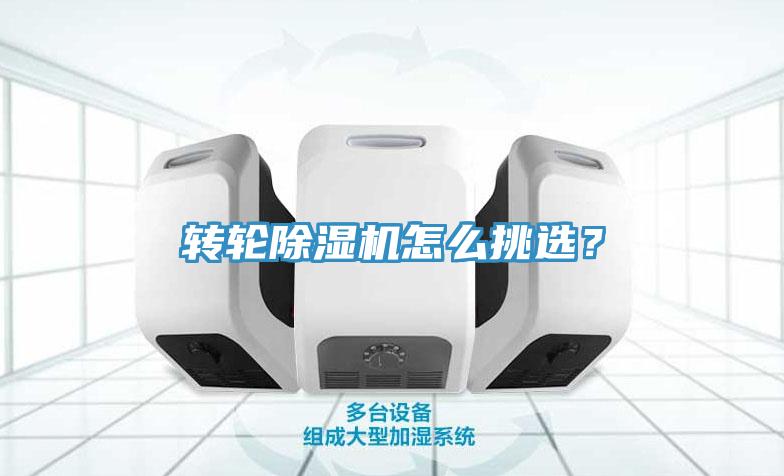 转轮MR.好色破解版怎么挑选？