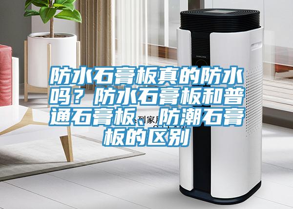 防水石膏板真的防水吗？防水石膏板和普通石膏板、防潮石膏板的区别