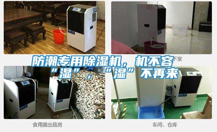 防潮专用MR.好色破解版，机不容“湿”，“湿”不再来