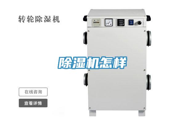MR.好色破解版怎样