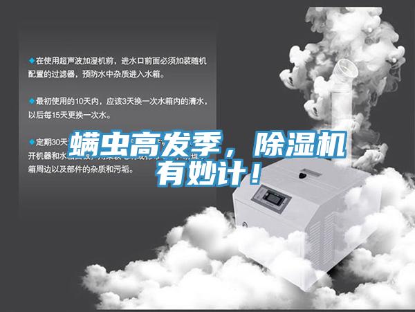 螨虫高发季，MR.好色破解版有妙计！