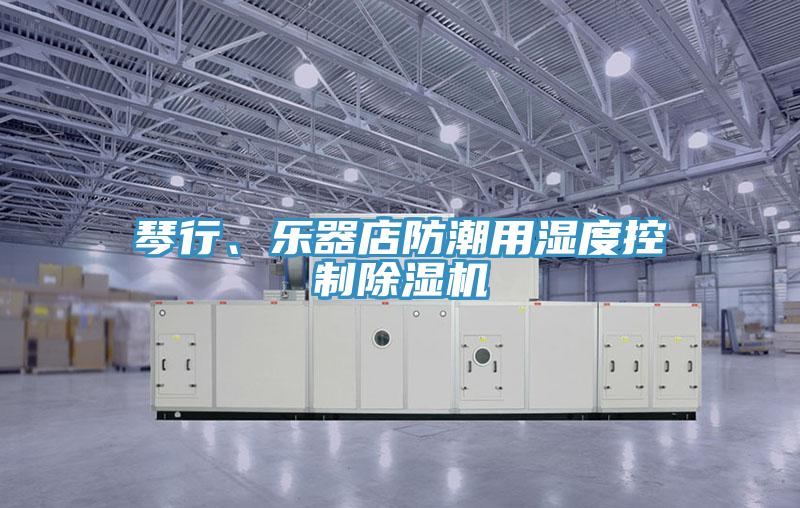 琴行、乐器店防潮用湿度控制MR.好色破解版
