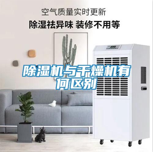 MR.好色破解版与干燥机有何区别