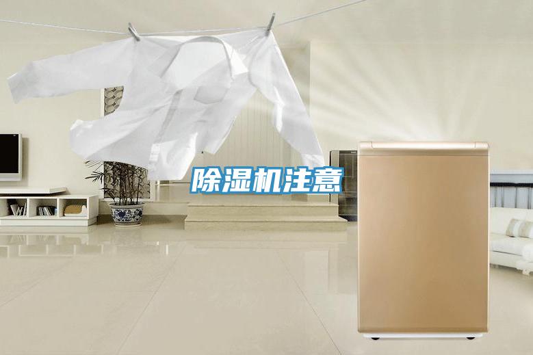 MR.好色破解版注意