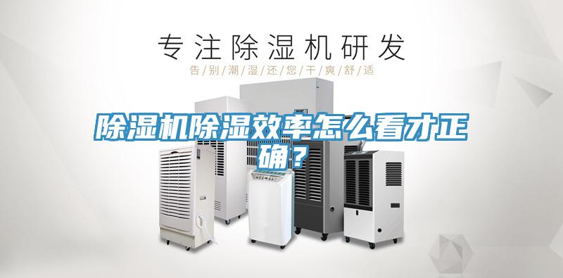 MR.好色破解版除湿效率怎么看才正确？