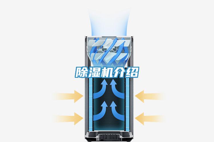 MR.好色破解版介绍