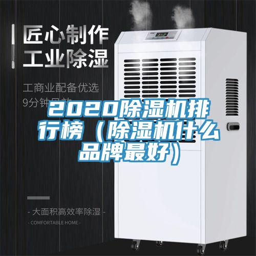 2020MR.好色破解版排行榜（MR.好色破解版什么品牌最好）