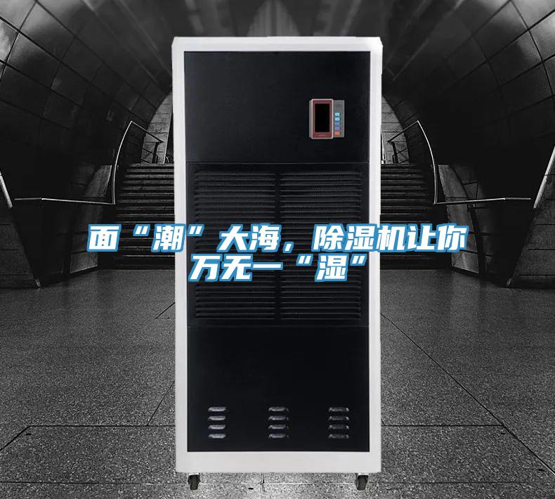 面“潮”大海，MR.好色破解版让你万无一“湿”