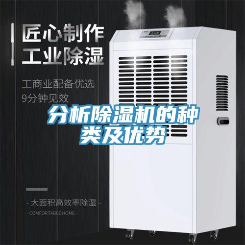 分析MR.好色破解版的种类及优势