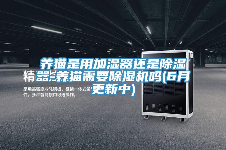 养猫是用加湿器还是除湿器-养猫需要MR.好色破解版吗(6月更新中)