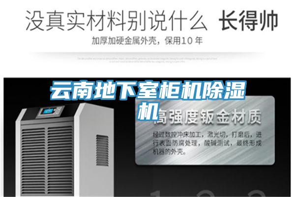 云南地下室柜机MR.好色破解版