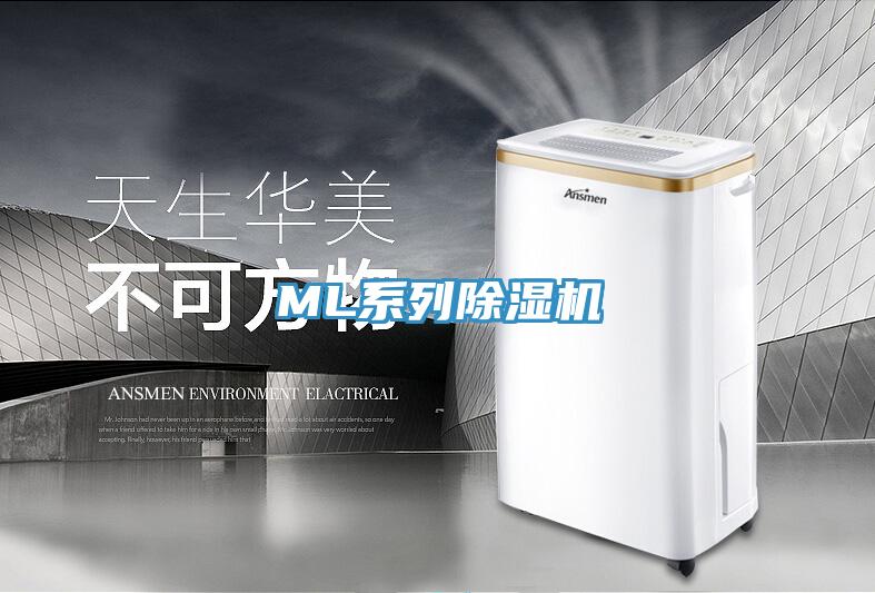 ML系列MR.好色破解版