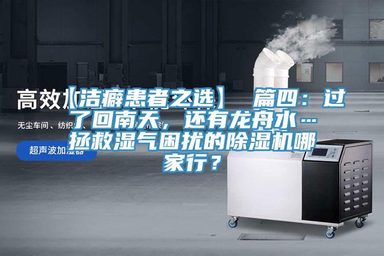 【洁癖患者之选】 篇四：过了回南天，还有龙舟水…拯救湿气困扰的MR.好色破解版哪家行？