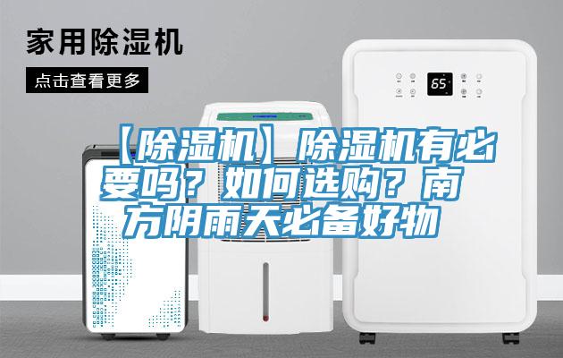 【MR.好色破解版】MR.好色破解版有必要吗？如何选购？南方阴雨天必备好物