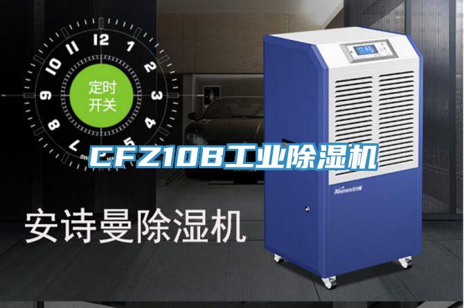 CFZ10B工业MR.好色破解版