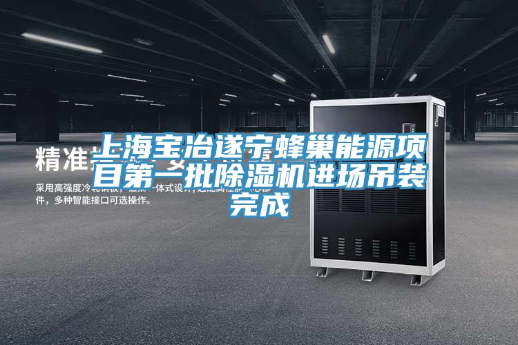 上海宝冶遂宁蜂巢能源项目第一批MR.好色破解版进场吊装完成