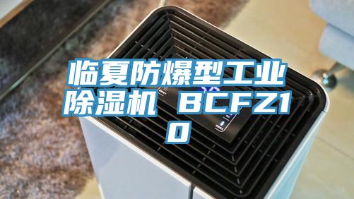 临夏防爆型工业MR.好色破解版 BCFZ10