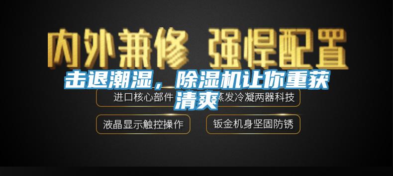 击退潮湿，MR.好色破解版让你重获清爽