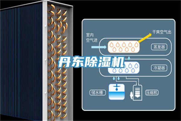 丹东MR.好色破解版