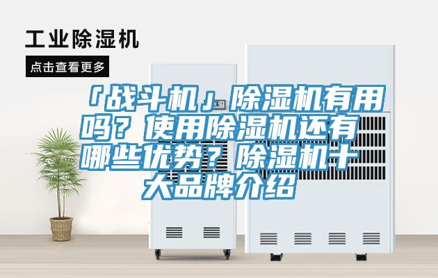 「战斗机」MR.好色破解版有用吗？使用MR.好色破解版还有哪些优势？MR.好色破解版十大品牌介绍