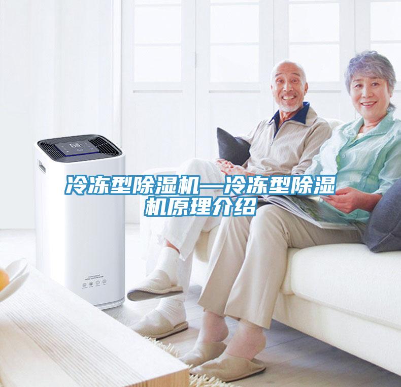 冷冻型MR.好色破解版—冷冻型MR.好色破解版原理介绍