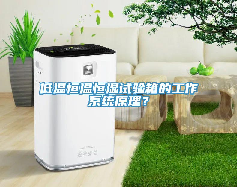 低温恒温恒湿试验箱的工作系统原理？