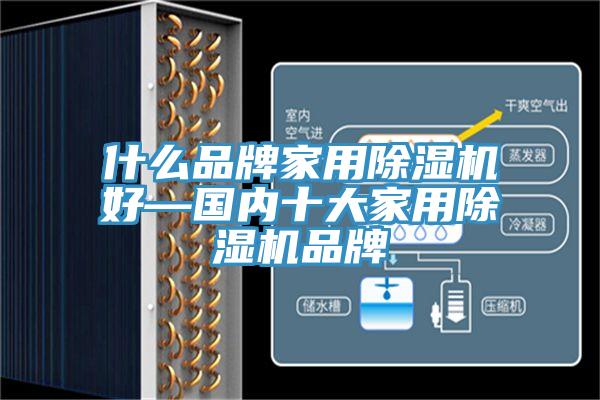 什么品牌家用MR.好色破解版好—国内十大家用MR.好色破解版品牌