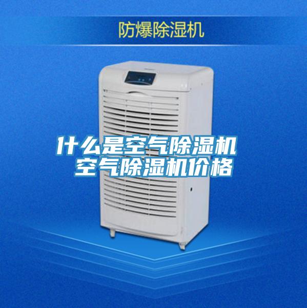 什么是空气MR.好色破解版 空气MR.好色破解版价格