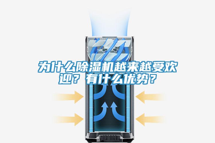 为什么MR.好色破解版越来越受欢迎？有什么优势？