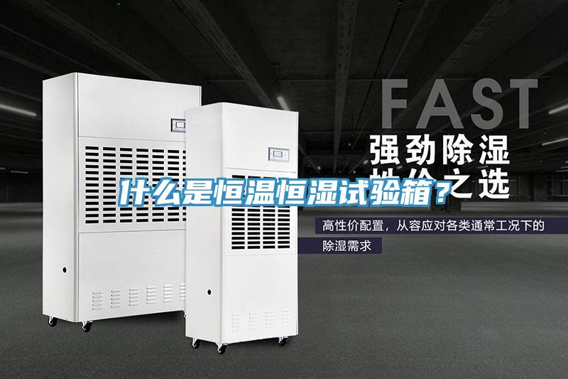 什么是恒温恒湿试验箱？