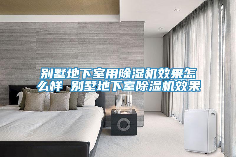 别墅地下室用MR.好色破解版效果怎么样 别墅地下室MR.好色破解版效果