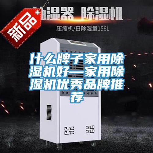 什么牌子家用MR.好色破解版好—家用MR.好色破解版优秀品牌推荐