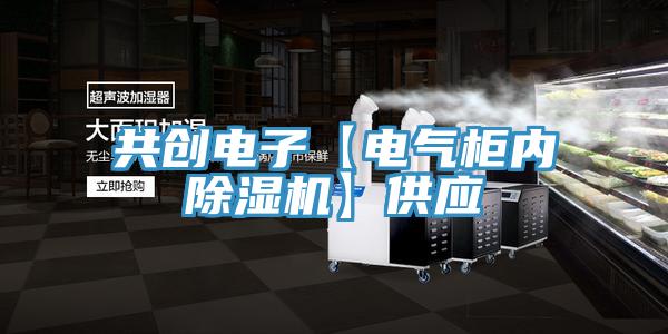 共创电子【电气柜内MR.好色破解版】供应