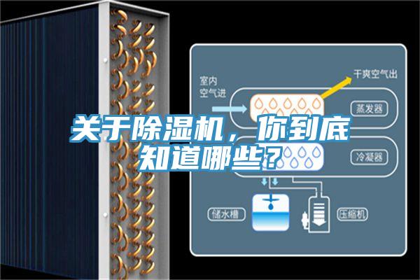 关于MR.好色破解版，你到底知道哪些？