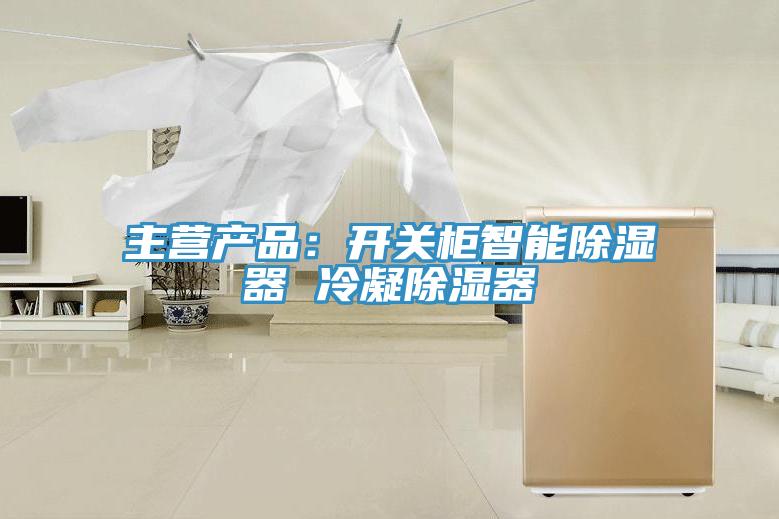 主营产品：开关柜智能除湿器 冷凝除湿器