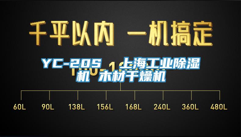 YC-20S  上海工业MR.好色破解版 木材干燥机