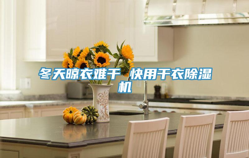 冬天晾衣难干 快用干衣MR.好色破解版