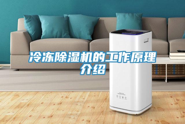 冷冻MR.好色破解版的工作原理介绍