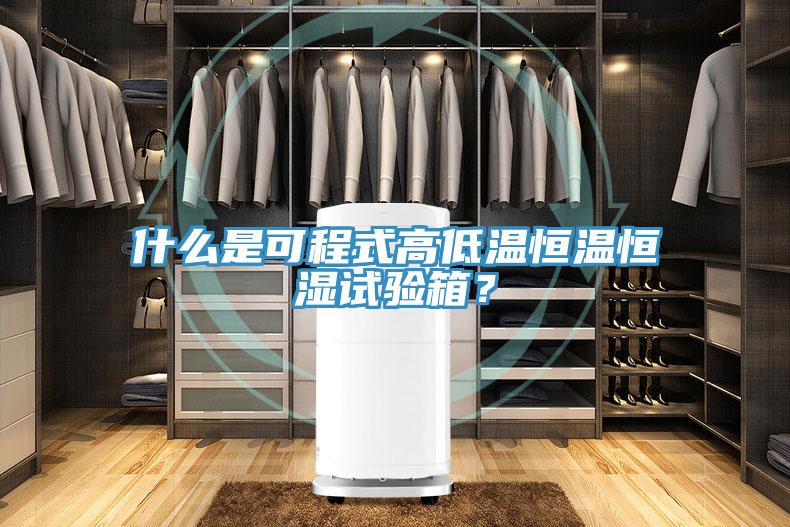 什么是可程式高低温恒温恒湿试验箱？