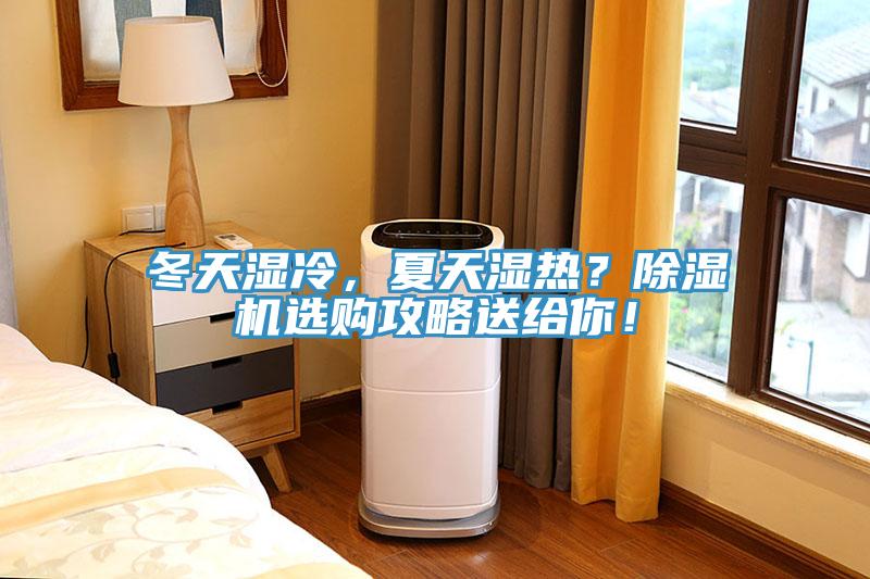 冬天湿冷，夏天湿热？MR.好色破解版选购攻略送给你！