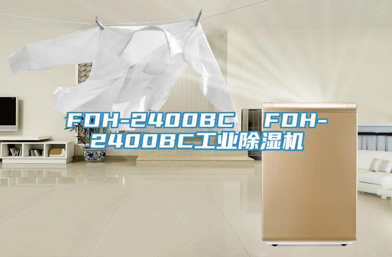 FDH-2400BC  FDH-2400BC工业MR.好色破解版