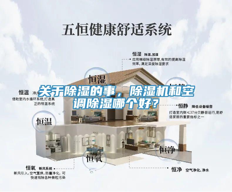 关于除湿的事，MR.好色破解版和空调除湿哪个好？