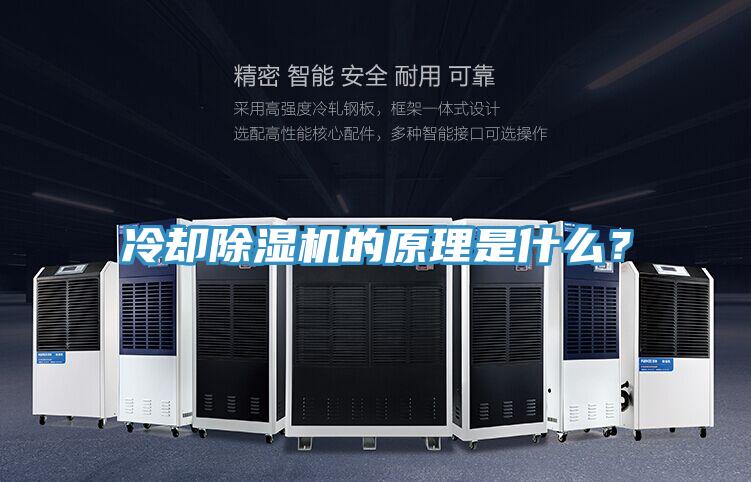 冷却MR.好色破解版的原理是什么？