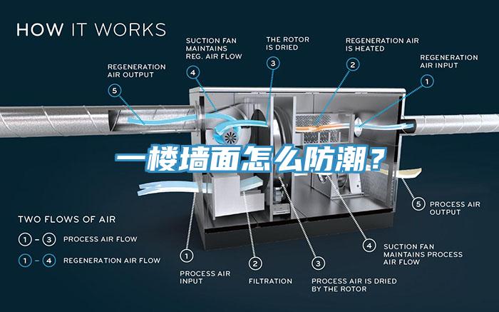 一楼墙面怎么防潮？