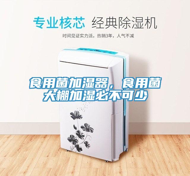 食用菌加湿器，食用菌大棚加湿必不可少