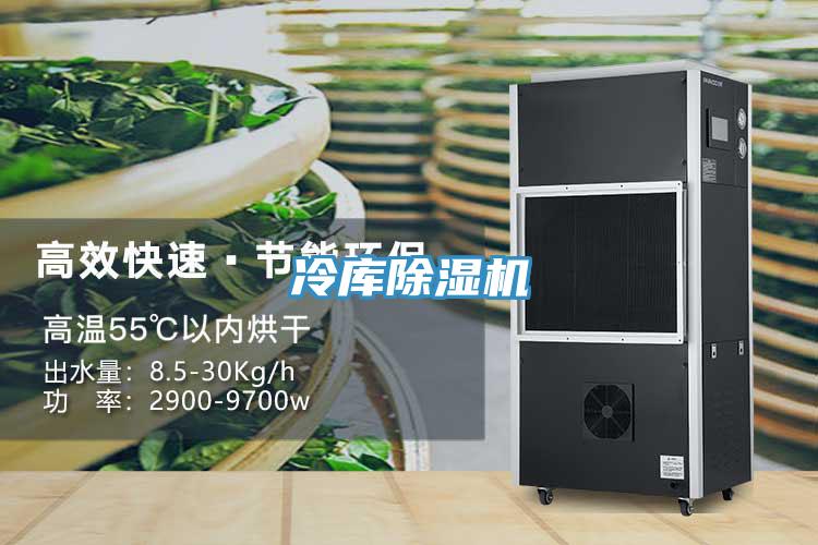 冷库MR.好色破解版