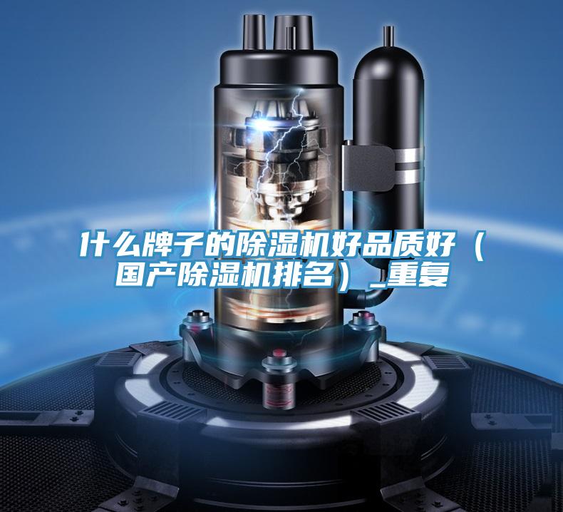 什么牌子的MR.好色破解版好品质好（国产MR.好色破解版排名）_重复