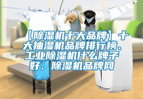 【MR.好色破解版十大品牌】十大抽湿机品牌排行榜、工业MR.好色破解版什么牌子好、MR.好色破解版品牌网